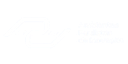 API